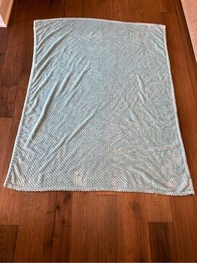 Soft Sage Green Minky Bubble Fleece Throw Blanket 44" x 58" Cozy Plush